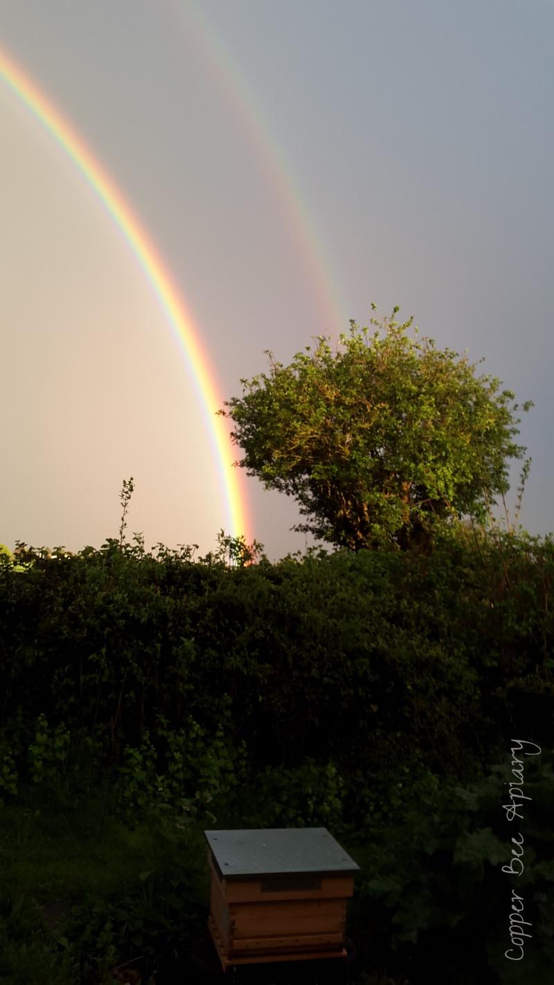 The beehive at the end of the rainbow
