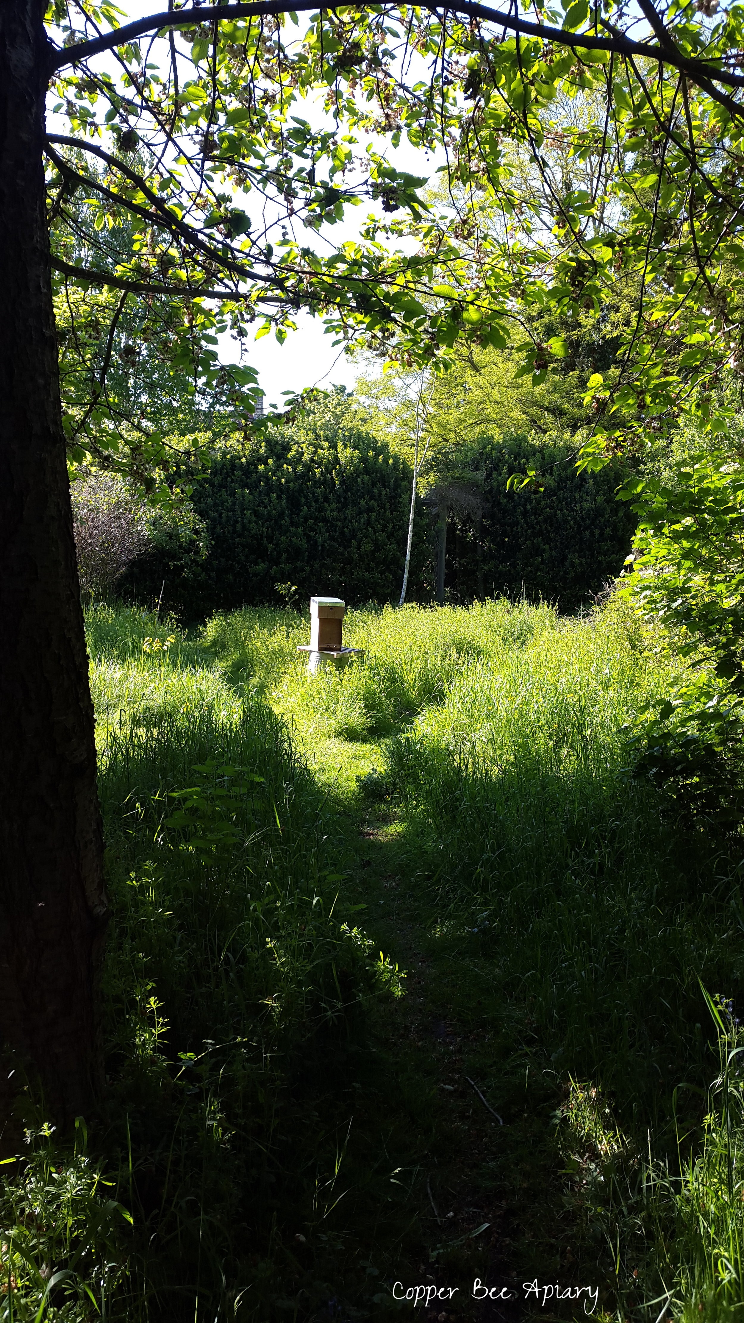 Apiary