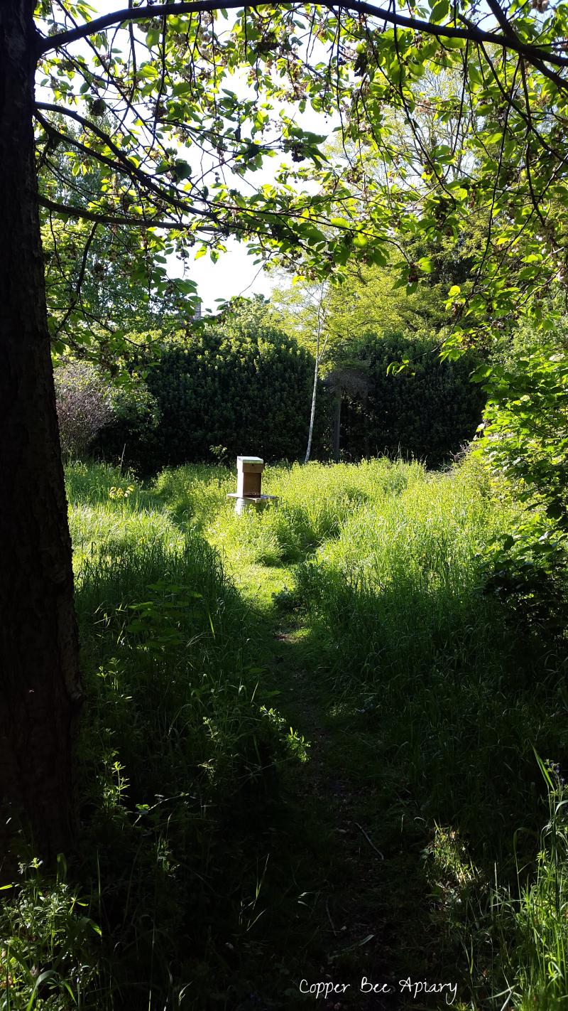 Apiary
