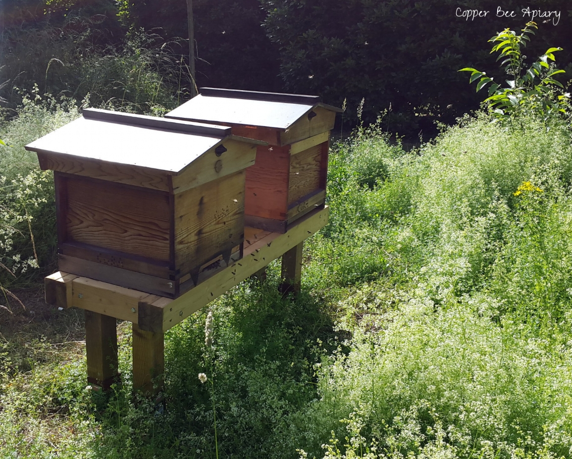 Queen Peony's Hive