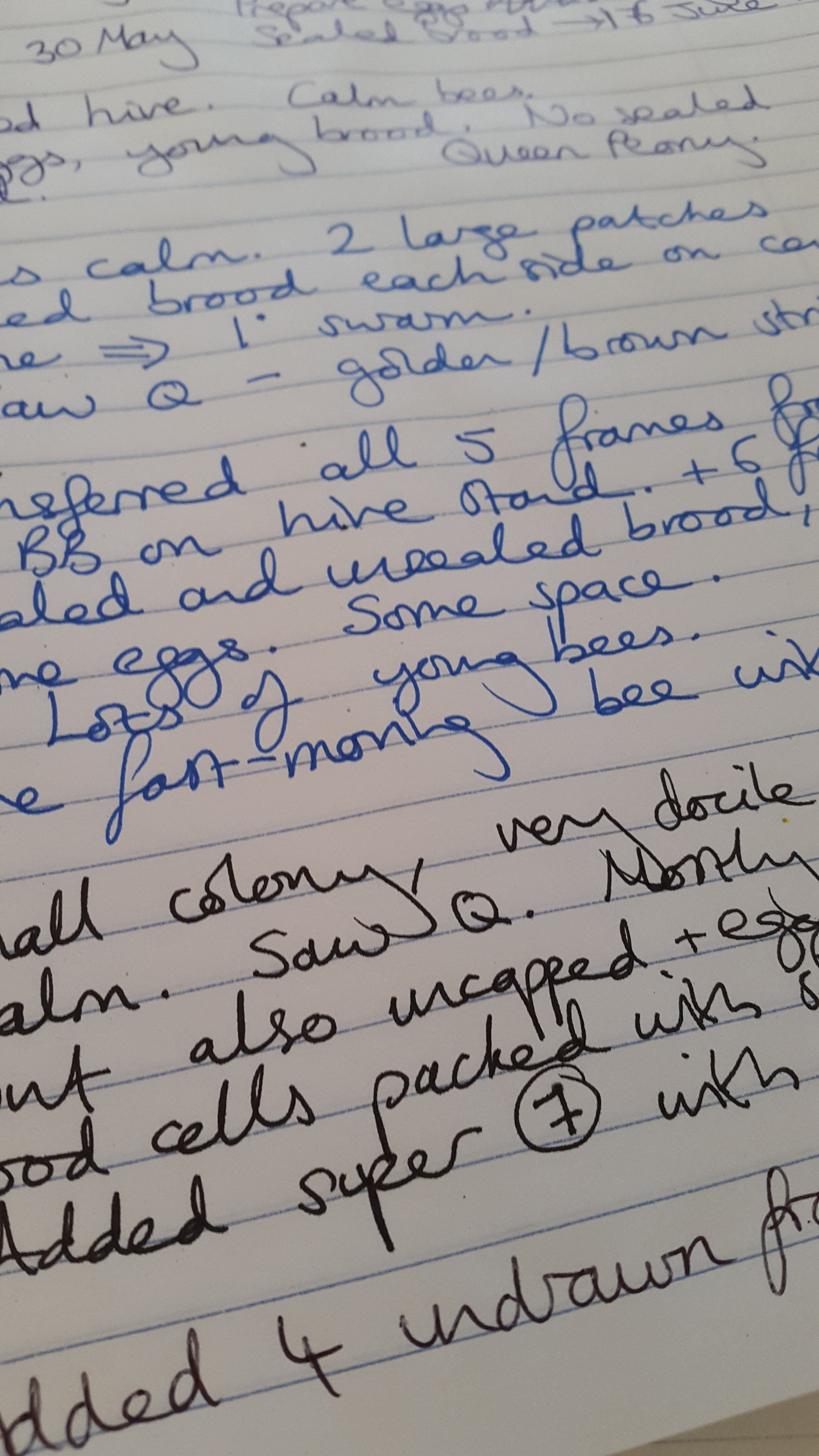 Beekeeper's notes