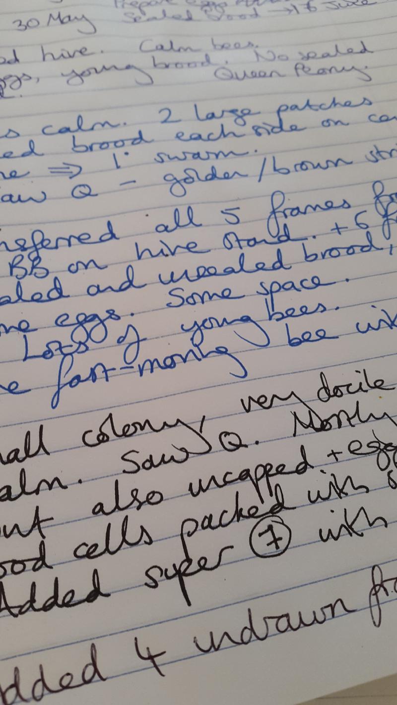 Beekeeper's notes