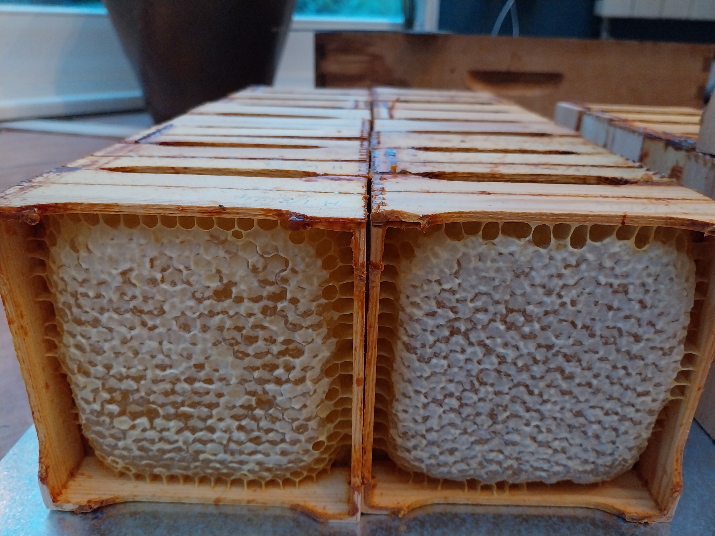Comb honey sections