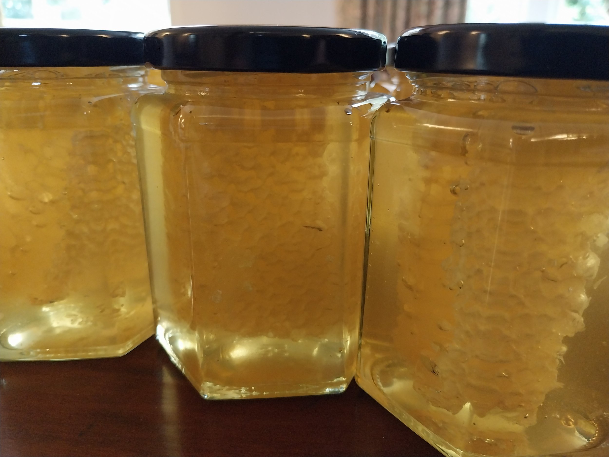 Cut comb in honey