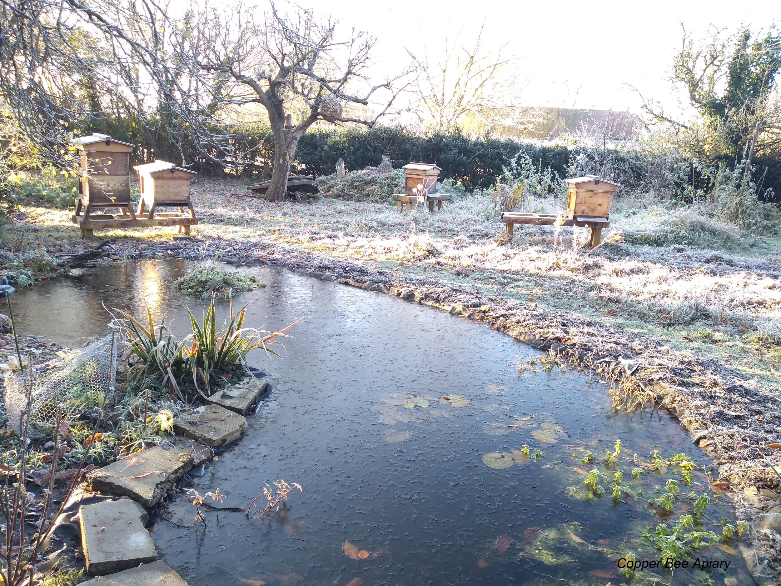 Frosty morning