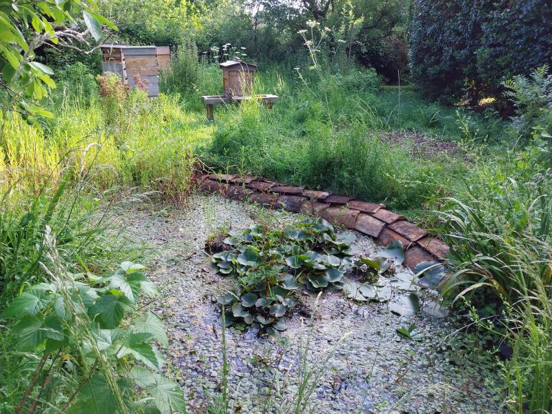 Apiary in summer