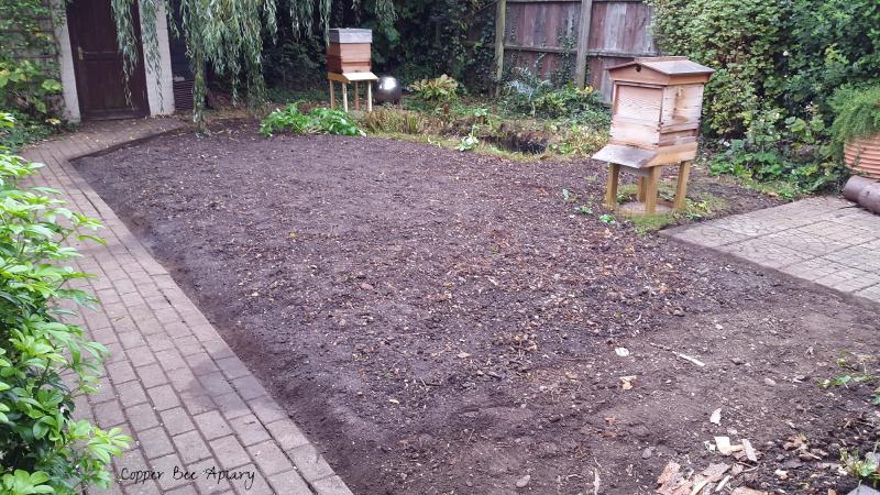 Copper Hive and Pond Hive now visible from here,&nbsp;having been previously hidden behind raspberry canes.
