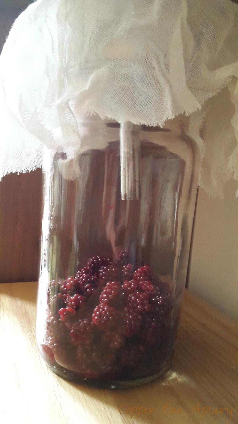 20161030_102315.jpg