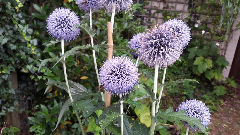 20160804_182035.jpg