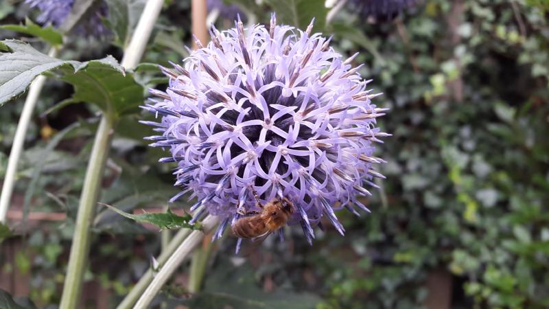 20160804_182139.jpg