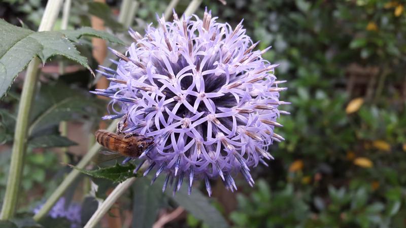 20160804_182639.jpg