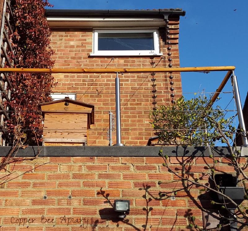 Disc Hive and Cedar Hive on Gin Terrace