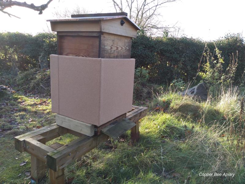 New cork sleeve installed today on Queen Uma’s hive. The hive has an extra brood box on top to raise the roof above the top of the cork - a shorter box would be better so I’ll swap it out - or I might rest the roof directly on the cork sleeve.