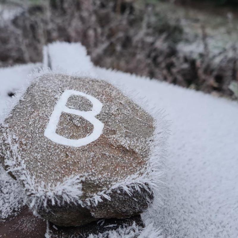 Queen Belladonna's hive stone in frost