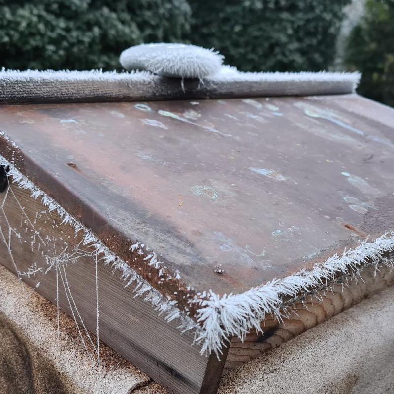 Queen Columbine's Hive in Frost